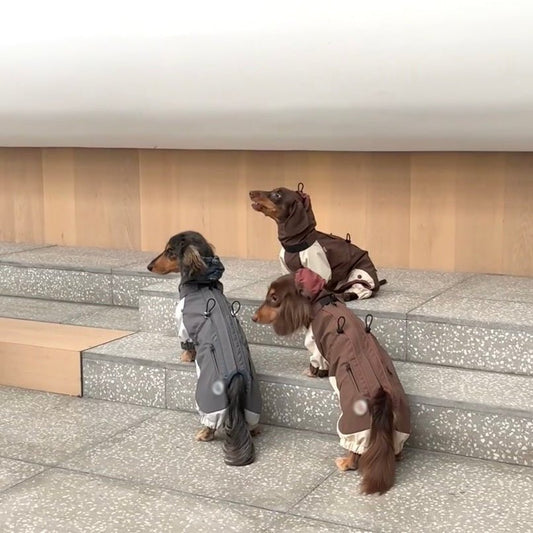 Cold - proof Dachshund Pet Clothes Autumn And Winter Shell Jacket - Penelope Wigglebum's