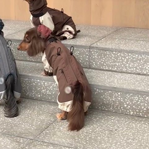 Cold - proof Dachshund Pet Clothes Autumn And Winter Shell Jacket - Penelope Wigglebum's