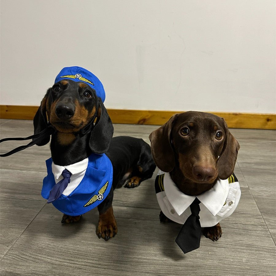 Dachshund Dog Funny Clothes Halloween Suit - Penelope Wigglebum's