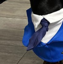 Dachshund Dog Funny Clothes Halloween Suit - Penelope Wigglebum's