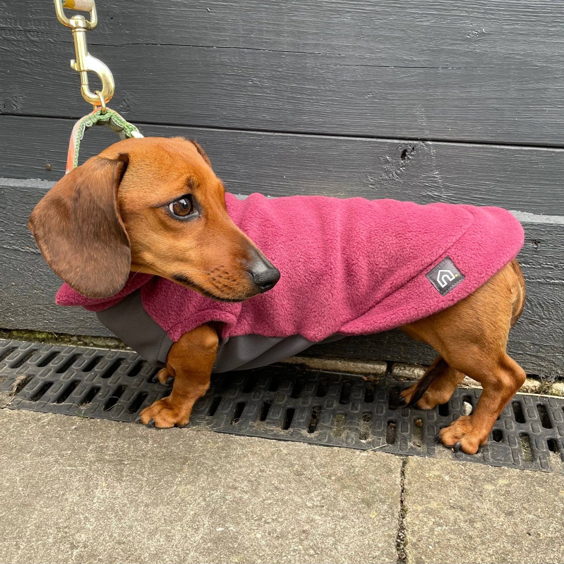 Dachshund Fleece Jumper with Waterproof Belly Panel: Charcoal / Small - Penelope Wigglebum's