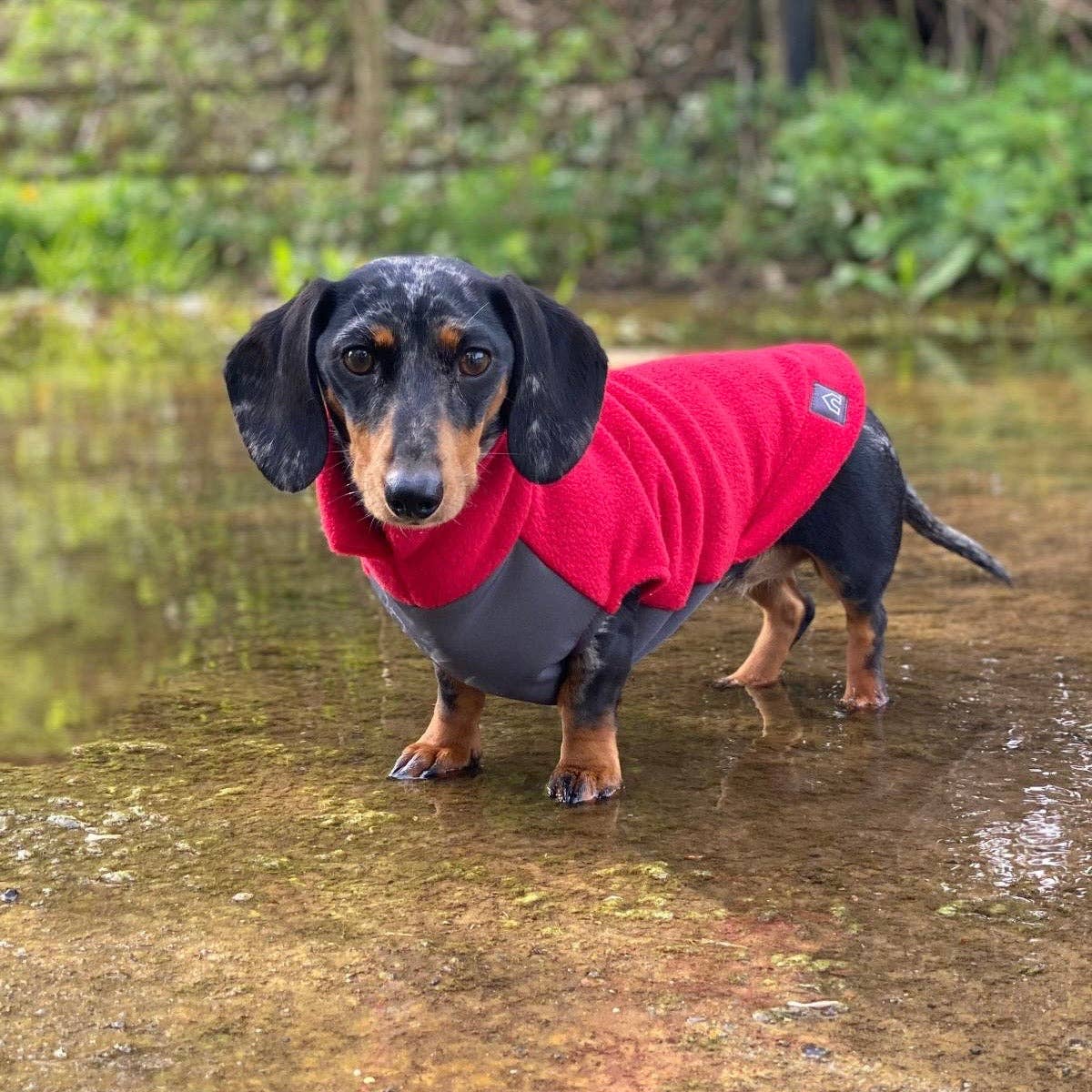 Dachshund Fleece Jumper with Waterproof Belly Panel: Charcoal / Small - Penelope Wigglebum's