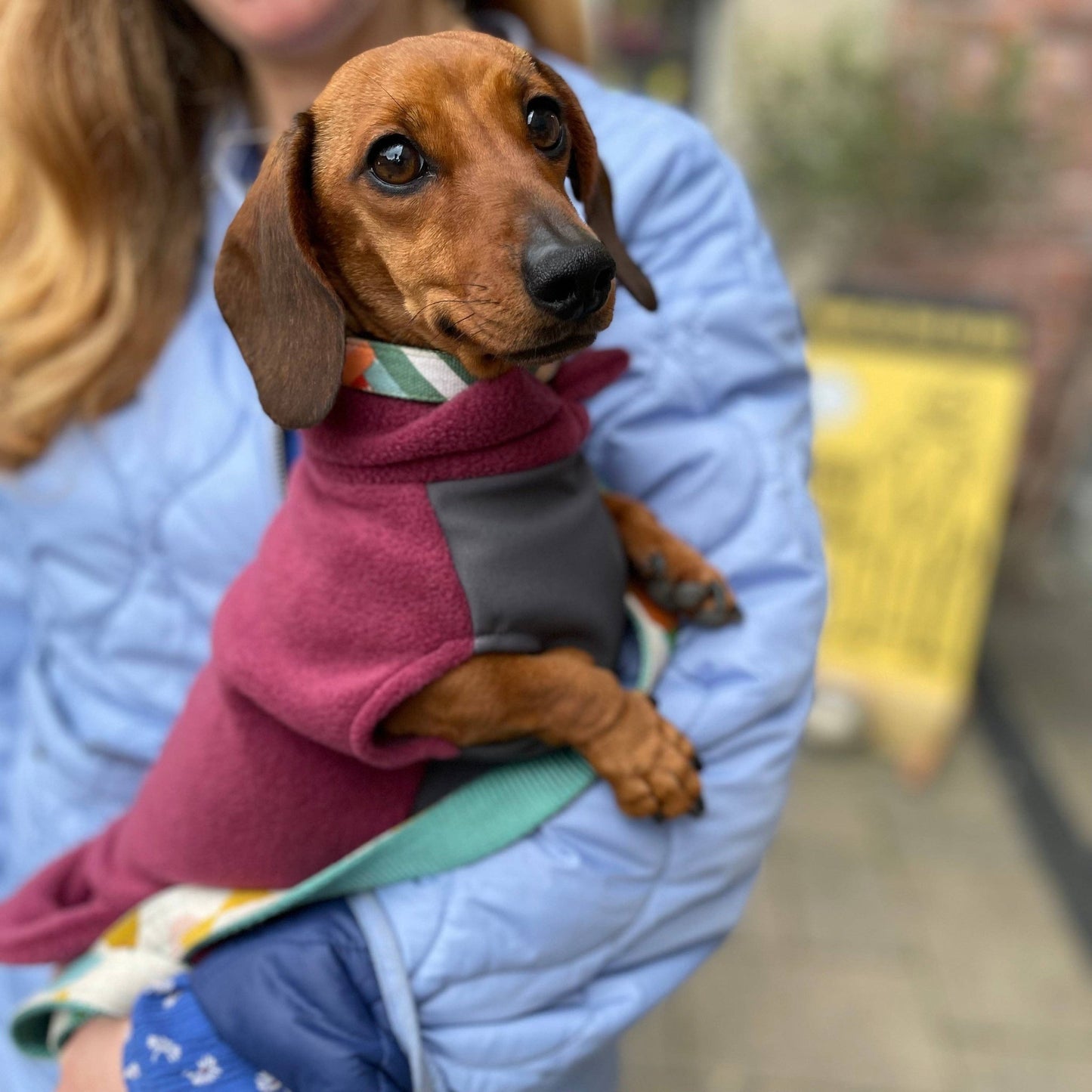 Dachshund Fleece Jumper with Waterproof Belly Panel: Charcoal / Small - Penelope Wigglebum's