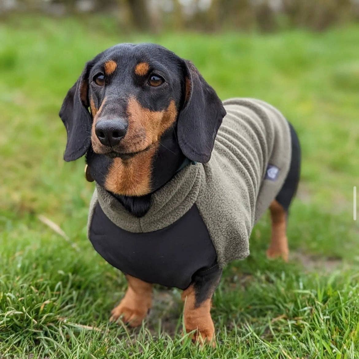 Dachshund Fleece Jumper with Waterproof Belly Panel: Charcoal / Small - Penelope Wigglebum's