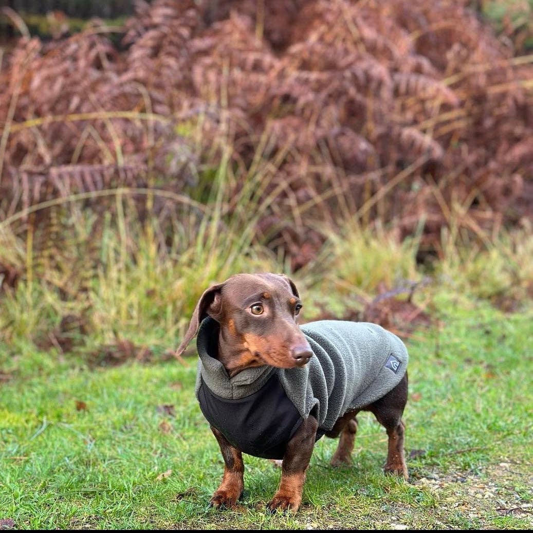 Dachshund Fleece Jumper with Waterproof Belly Panel: Dusty Rose / Small - Penelope Wigglebum's