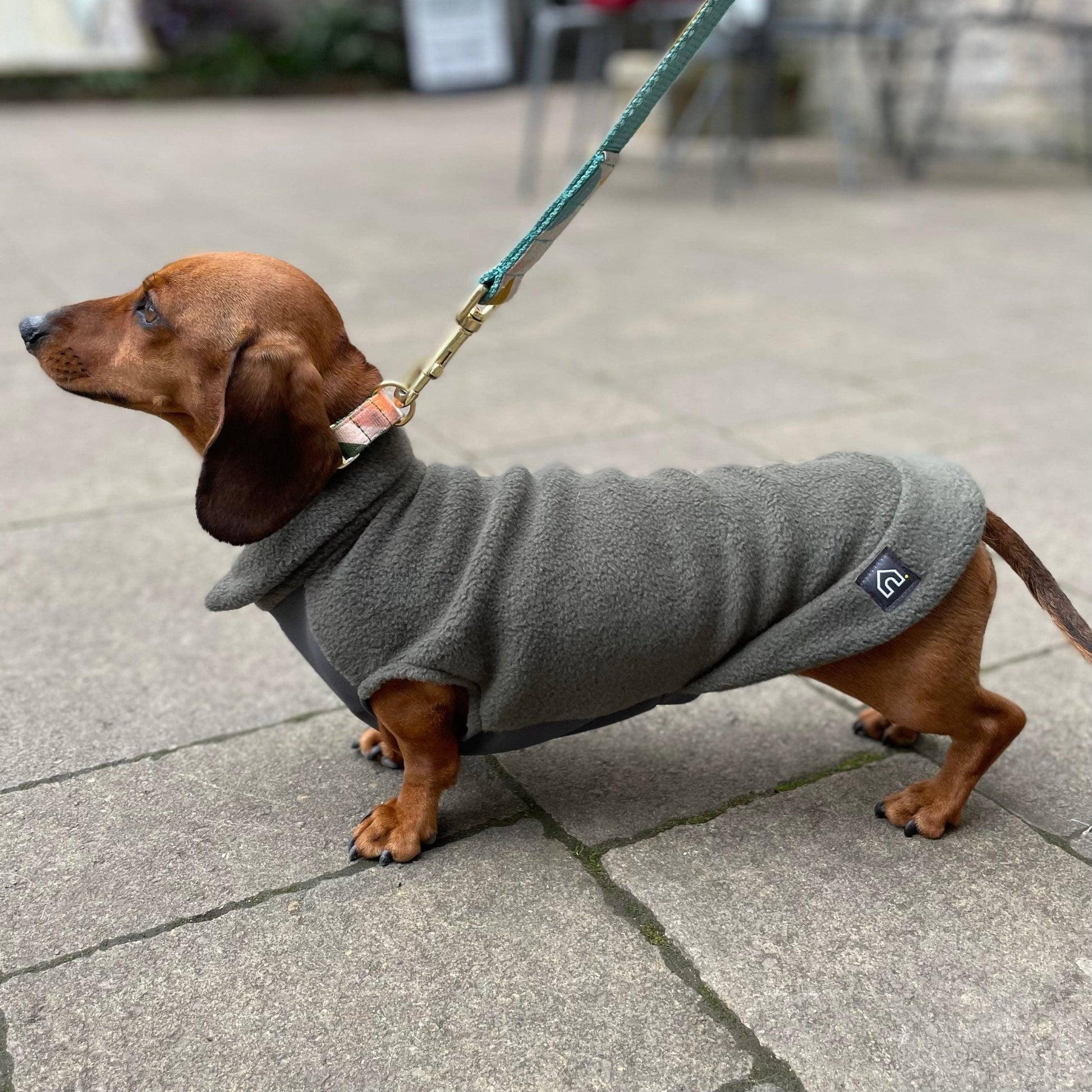 Dachshund Fleece Jumper with Waterproof Belly Panel: Olive / Small - Penelope Wigglebum's