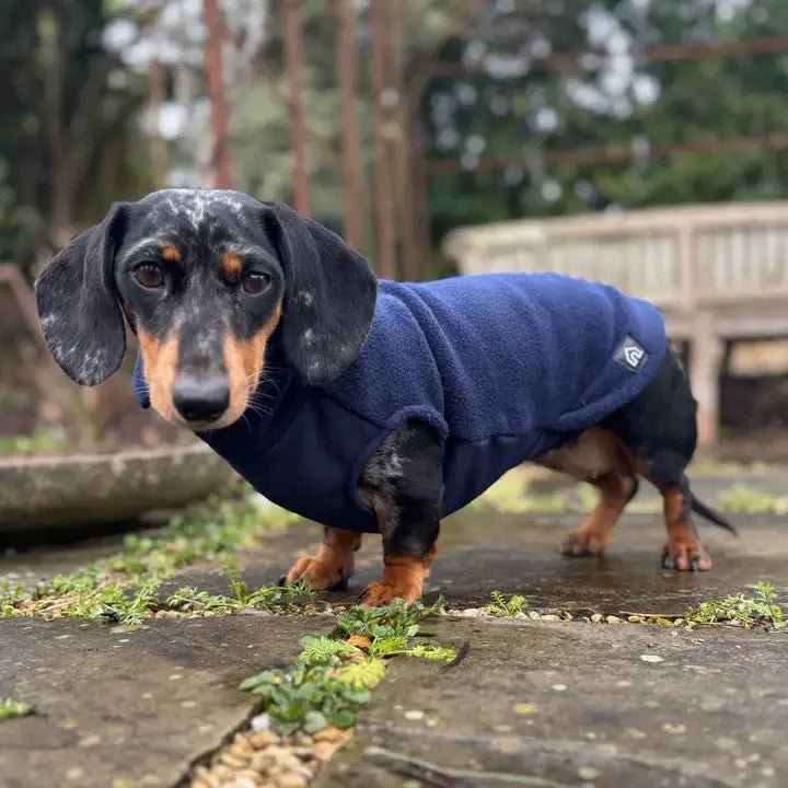 Dachshund Fleece Jumper with Waterproof Belly Panel: Ruby Red / Small - Penelope Wigglebum's