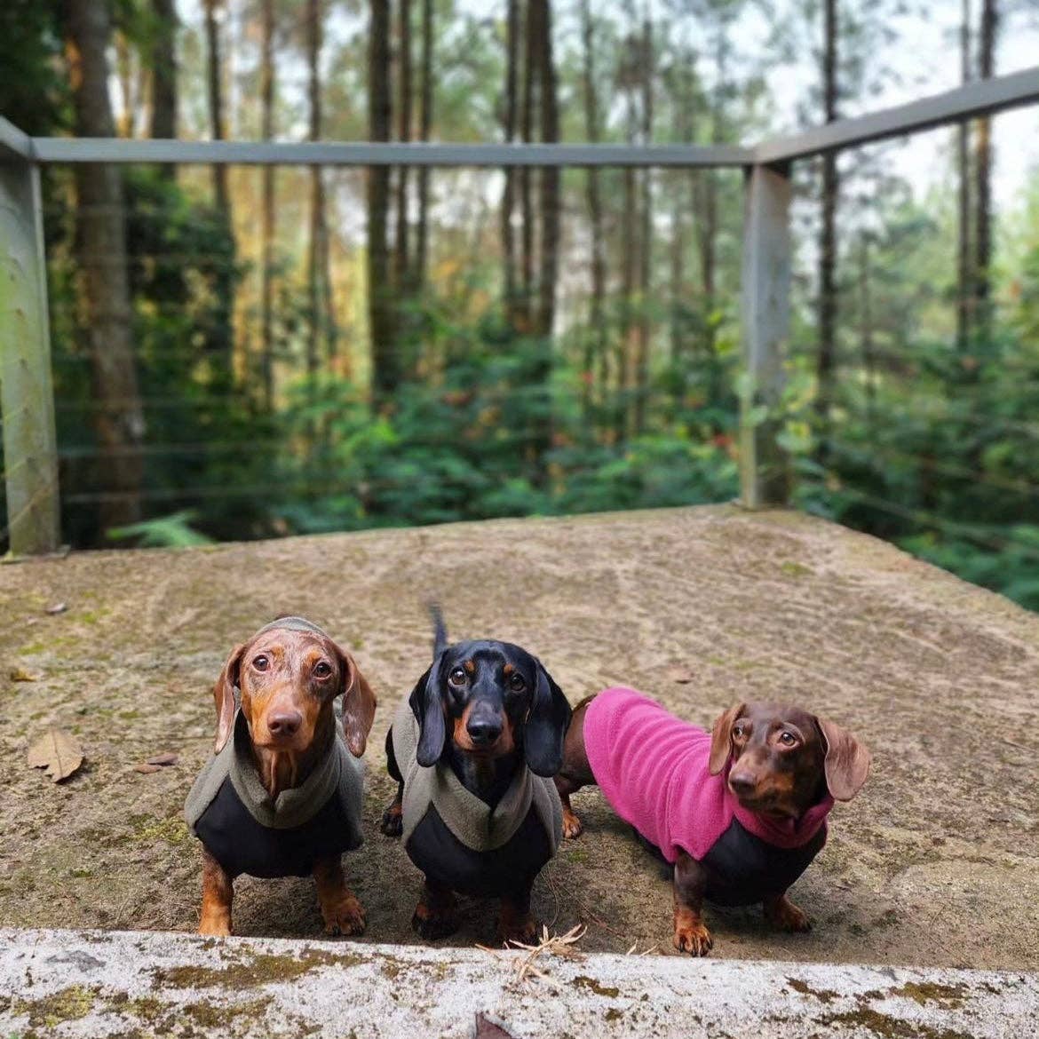 Dachshund Fleece Jumper with Waterproof Belly Panel: Ruby Red / Small - Penelope Wigglebum's