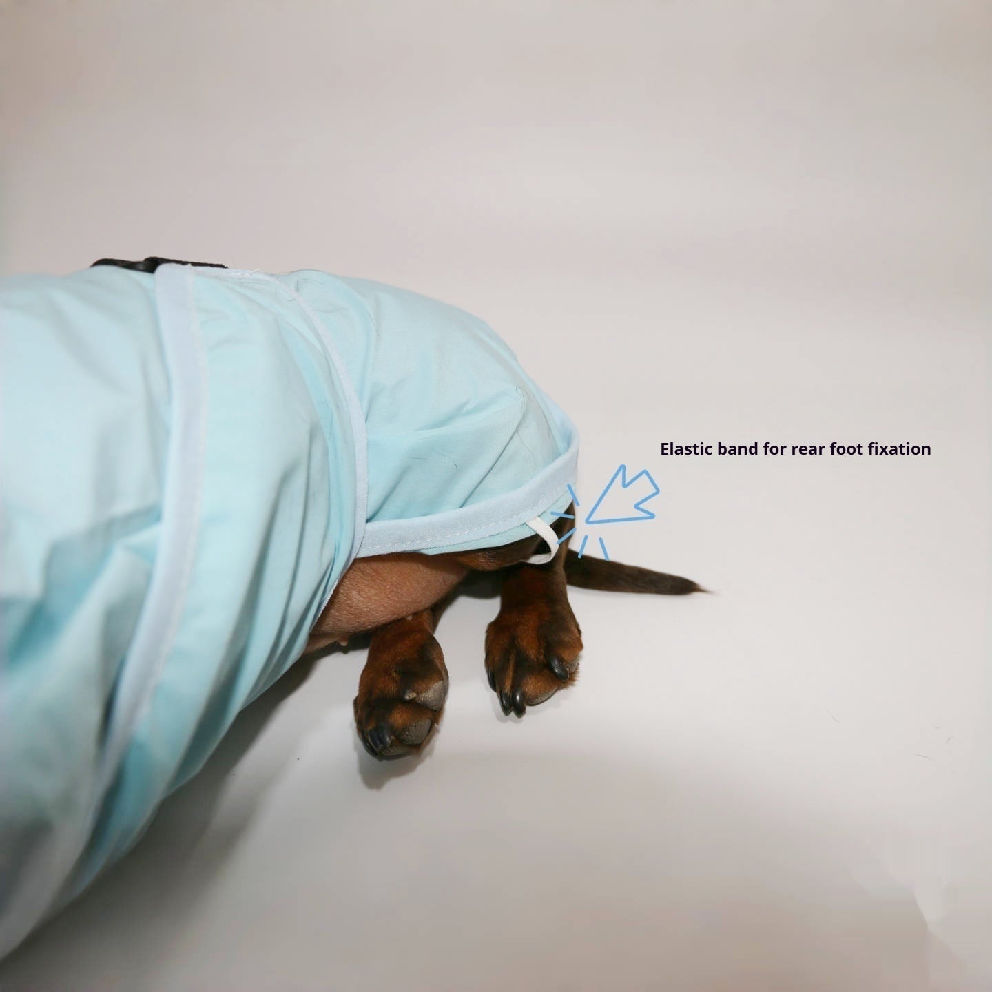 Dachshund Waterproof Hooded Poncho Raincoat - Penelope Wigglebum's