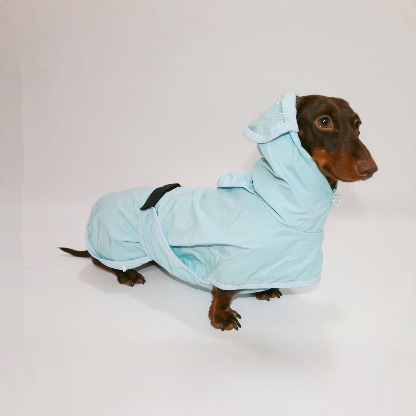 Dachshund Waterproof Hooded Poncho Raincoat - Penelope Wigglebum's