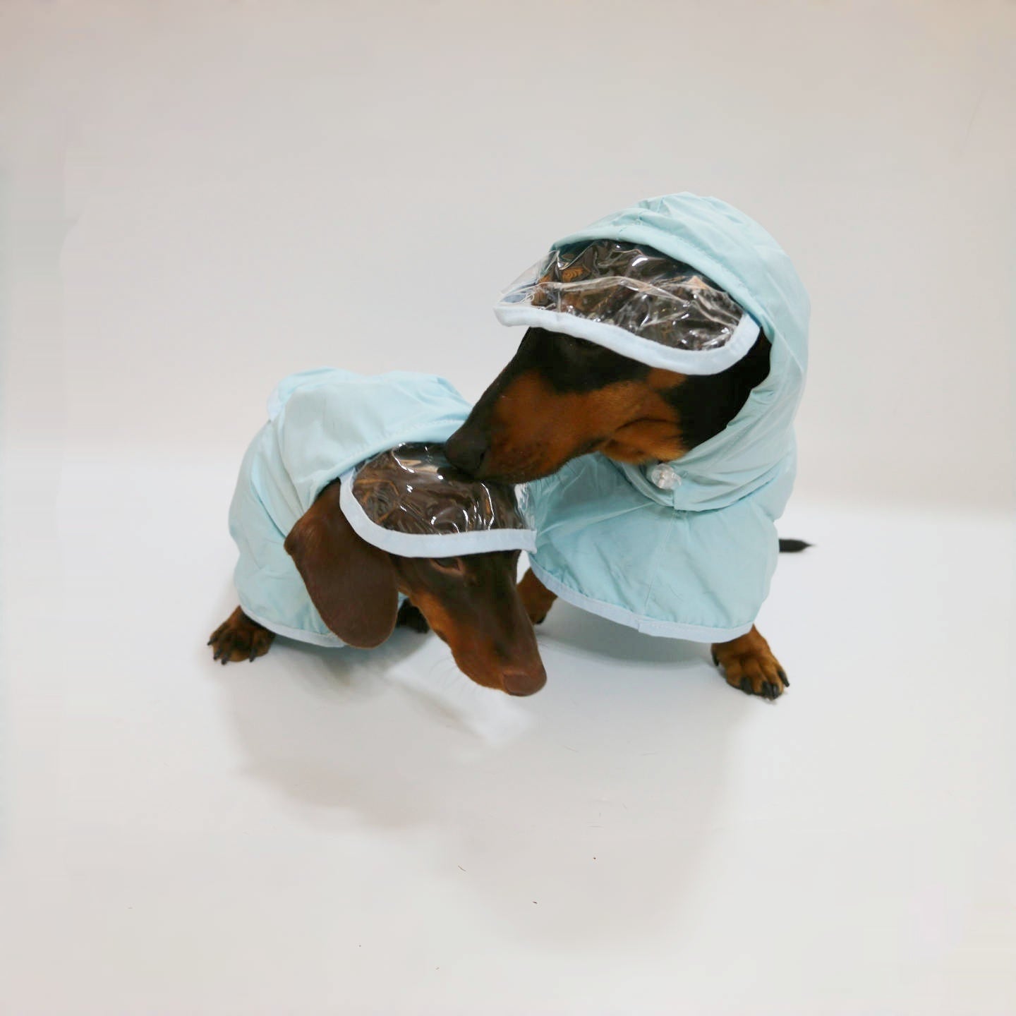 Dachshund Waterproof Hooded Poncho Raincoat - Penelope Wigglebum's